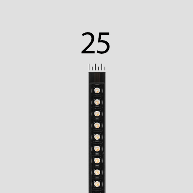 MAGNET 25