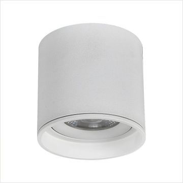 ROLL P80 | 1030 W