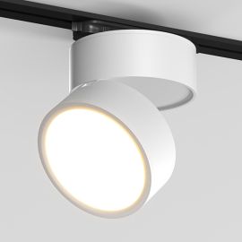 LONDA 100 | 1530 W 2TR