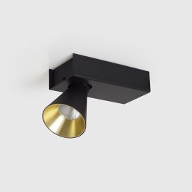 PION T | 0730 BG