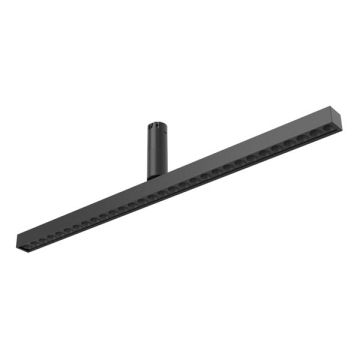 TIPTOP LINE SPOT  650 | 1330 B