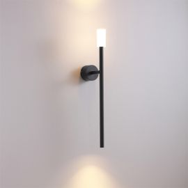 REED | 0230 B