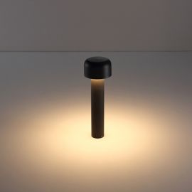 PS09