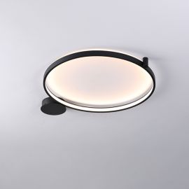 RING N.650 | 3030 B
